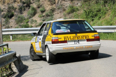 CHAMPIONNAT-DE-FRANCE-RALLYE-2024-RALLYE-ANTIBES-Photo-Jeff-THIRY-995